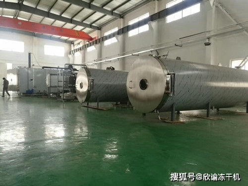 真空冷凍干燥機干燥過程中與溫度之間有何關(guān)聯(lián)