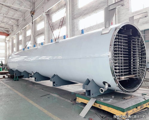 生產型食品冷凍干燥機,大型食品凍干機設備