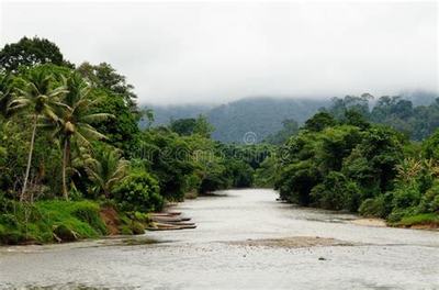 萬(wàn)元預(yù)算下的創(chuàng)富新機(jī)遇 加盟大屠龍(0.1折扣版)游戲店，解鎖技術(shù)推廣新玩法