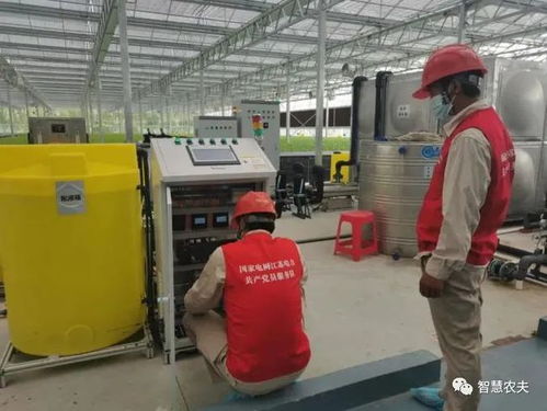 顛覆傳統(tǒng) 信息技術(shù)咨詢服務(wù)如何賦能LED人工光蔬菜種植園